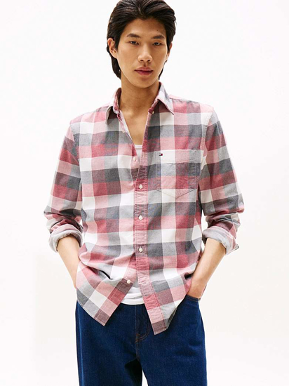 Слика на Кошула