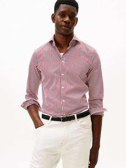 Слика на Кошула